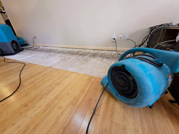 Professional Water Damage Repair technician working in Sibley, LA